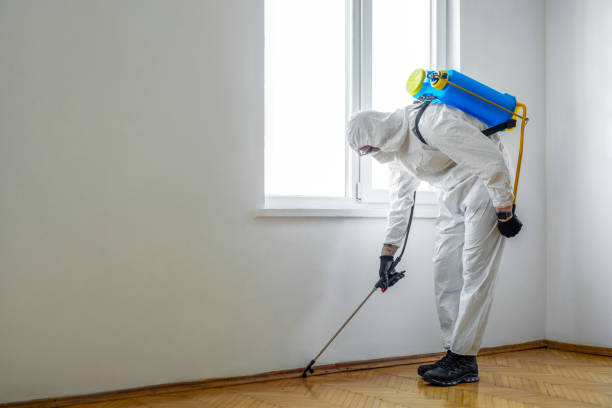 Best Flea Control Services  in Severna Park, MD