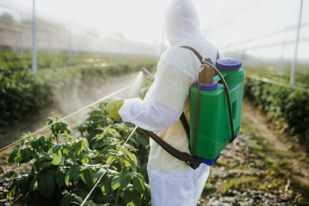 Best Mosquito Control Services  in Severna Park, MD